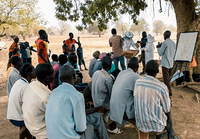 Eine Menschengruppe aus Uganda erhält eine Schulung zum Thema Imkerei.