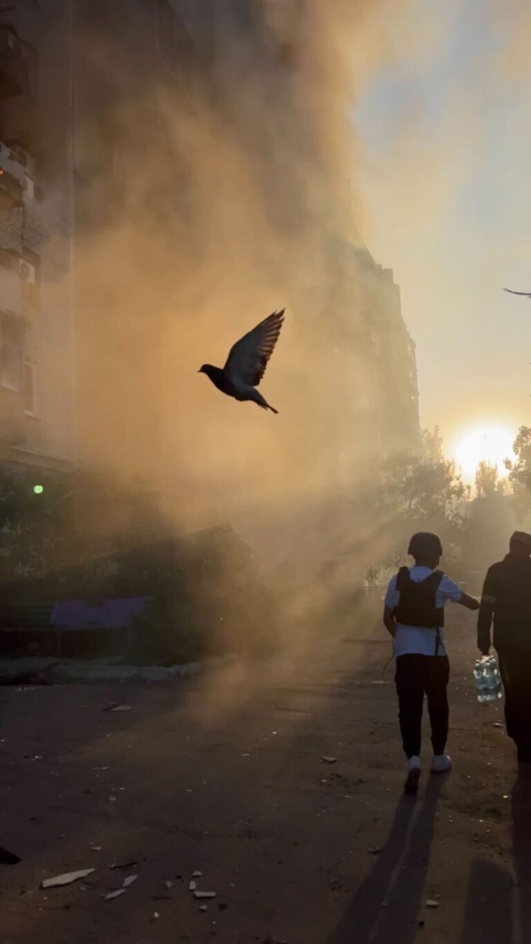 Ein Bild einer Taube, die in der Ukraine durch den Rauch einer gerade explodierten Bombe fliegt.