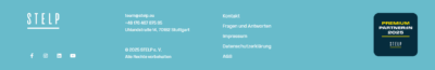 This is how the premium logo could look in the footer of a website.