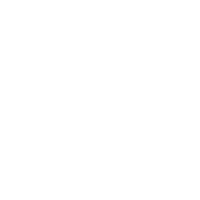 Das Logo von GINSTR.